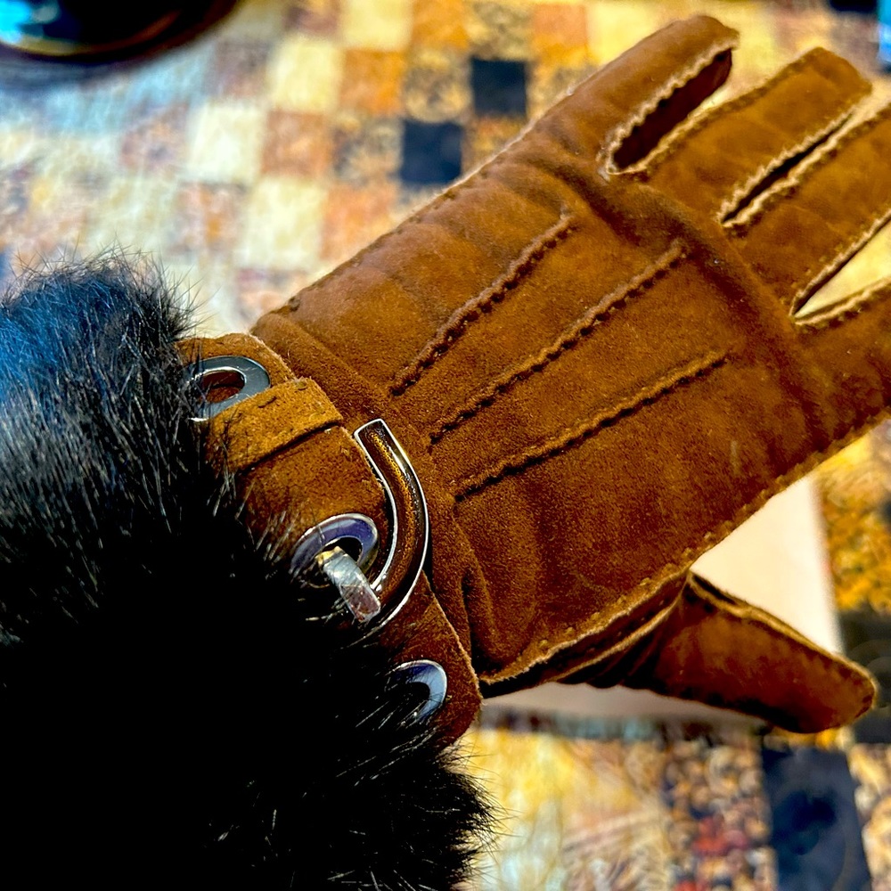 Coach Suede and Fur Gloves